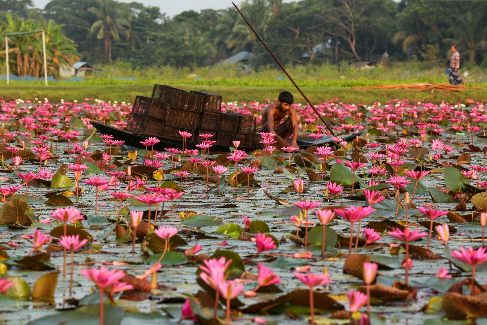Best Time to Visit Bangladesh: A Month-by-Month Travel Guide (2026)